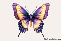 Butterfly Flowers Clipart PNG Product Image 1
