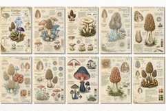 Ephemera Mushrooms Junk Journal Pages - Junk Journal Pack Product Image 2