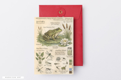 Summer Frog Pond Junk Journal Pages Product Image 5
