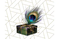 Peacock Christmas Clipart in Jewel Tones, Christmas Png Product Image 4