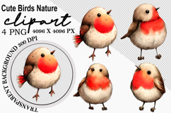 Whimsical Cute birds nature clipart Watercolor png Product Image 1