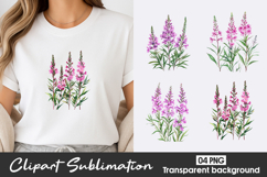 Pink Lavender Watercolor Clipart PNG Product Image 1