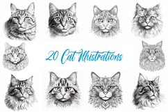 20 Cat Kitten Illustration JPG Drawings Coloring Book Design Product Image 1