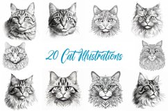 20 Cat Kitten Illustration JPG Drawings Coloring Book Design