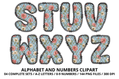 Coquette Shabby Chic Alphabet PNG Letters &amp; Numbers 300DPI Product Image 4