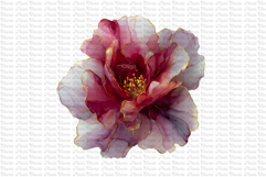 23 Dark and Gold Flowers PNG Product Image 20