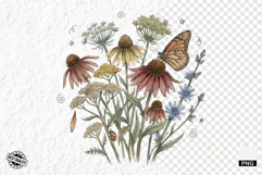 1920 Botanical Summer Wildflowers Clipart Product Image 1
