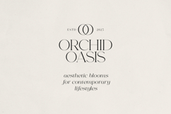 Font Bundle Vol.05 8 Premium Fonts Product Image 20