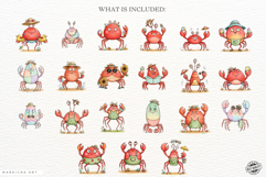Whimsical Summer Crab Clipart Product Image 4