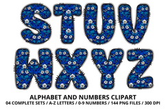 Coquette Shabby Chic Alphabet PNG Letters &amp; Numbers 300DPI Product Image 4