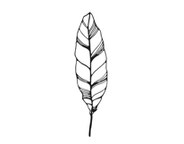 Palm Leaves svg, Botanical png Product Image 25