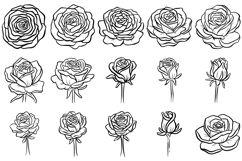 20 Rose Floral Wildflower Flowerheads Illustration Clipart Product Image 2