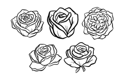 20 Rose Floral Wildflower Flowerheads Illustration Clipart Product Image 3