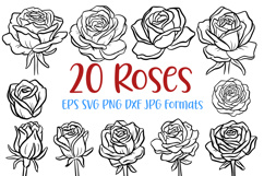20 Rose Floral Wildflower Flowerheads Illustration Clipart SVG PNG by Squeeb Creative
