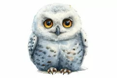 Cute Snowy Owl bird Bird Baby Watercolor Handmade illus Product Image 3