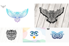 20 vector Design Owl Product Image 5