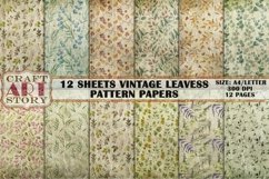 Pattern Papers 12 Sheets Shabby Leaves,Kit Backgrounds Product Image 1