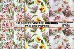 Pattern Papers 12 Sheets Vintage orchids,Kit Backgrounds Product Image 3