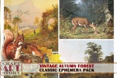Autumn forest,fall landscape Ephemera Pack,digital Product Image 3