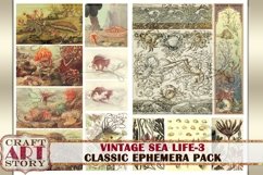 Vintage Sea Life Ephemera Pack-3,Under the Sea kit Product Image 2