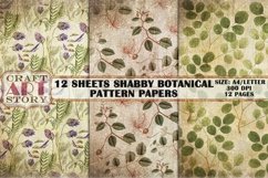 Pattern Papers 12 Sheets Shabby Botanical,Kit Backgrounds Product Image 2