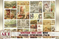 Mini Art Vintage Sea Life Ephemera Pack,Under the Sea kit Product Image 3