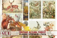 Autumn forest,fall landscape Ephemera Pack,digital Product Image 5