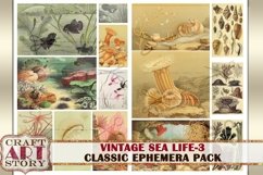 Vintage Sea Life Ephemera Pack-3,Under the Sea kit Product Image 3