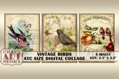 Vintage Birds ATC Size Collage Sheet,Digital paper Product Image 5
