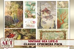 Vintage Sea Life Ephemera Pack-3,Under the Sea kit Product Image 4
