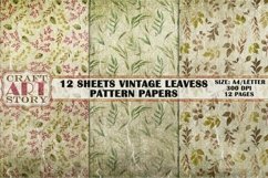 Pattern Papers 12 Sheets Shabby Leaves,Kit Backgrounds Product Image 3