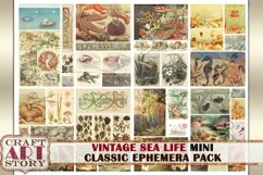 Mini Art Vintage Sea Life Ephemera Pack,Under the Sea kit Product Image 4