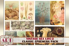 Vintage Sea Life Ephemera Pack-2,Under the Sea kit Product Image 4