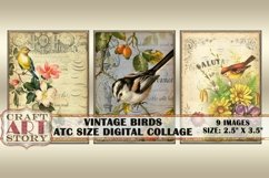 Vintage Birds ATC Size Collage Sheet,Digital paper Product Image 4