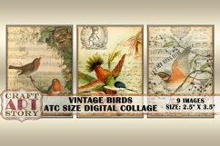 Vintage Birds ATC Size Collage Sheet,Digital paper Product Image 2