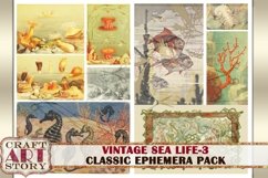 Vintage Sea Life Ephemera Pack-3,Under the Sea kit Product Image 5