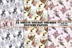 Pattern Papers 12 Sheets Vintage orchids,Kit Backgrounds Product Image 4