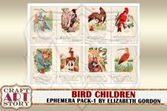 Bird Children Ephemera Pack-1,Bird girls Printable kit Product Image 5