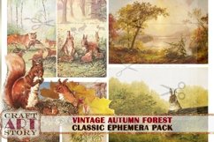 Autumn forest,fall landscape Ephemera Pack,digital Product Image 6