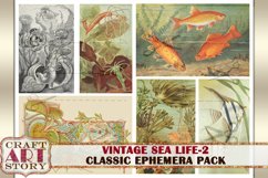 Vintage Sea Life Ephemera Pack-2,Under the Sea kit Product Image 5