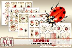 Vintage Ladybug Junk Journal Pages,Insects ephemera papers Product Image 5