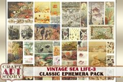 Vintage Sea Life Ephemera Pack-3,Under the Sea kit Product Image 6