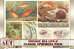 Vintage Sea Life Ephemera Pack-2,Under the Sea kit Product Image 6