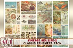 Vintage Sea Life Ephemera Pack-2,Under the Sea kit Product Image 7
