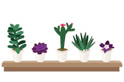 Seeding in pots Product Image 1
