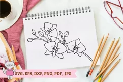 Orchid outline Flower SVG cut file, hand drawn, line art, Product Image 1