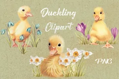 Watercolor Spring Duckling Clipart PNG, Seamless Patterns Product Image 2