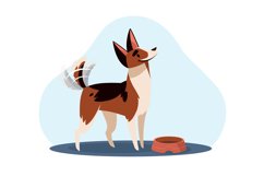 Dog waving his tail and asking for food from his master. Pe Product Image 1