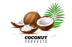 Coconut products. Whole, half and pieces nut. Green palm le Product Image 1