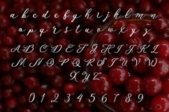 Web Font Cranberry Product Image 2